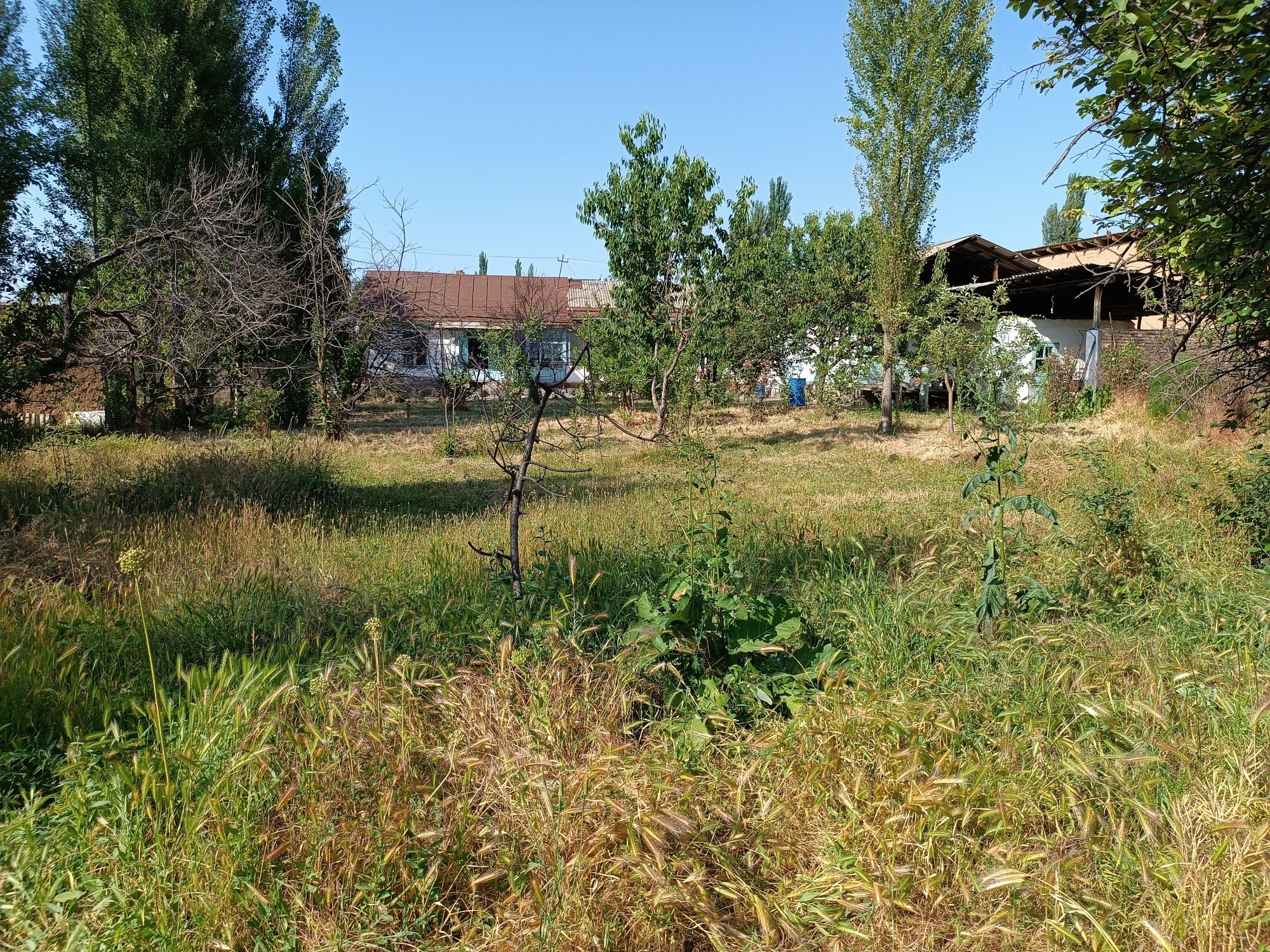 Uchaska sotiladi 30 sotix bölib olish uchunam beriladi sotixi 3000ş