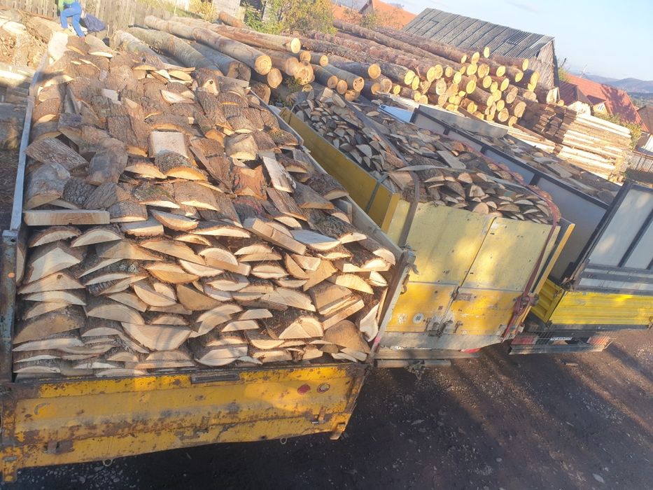 Lemn de foc esentă tare