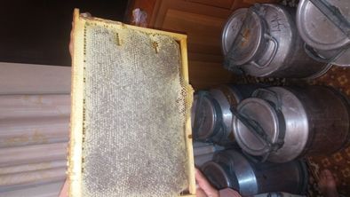 Сотовый свежий мёд горный урожай 2023г