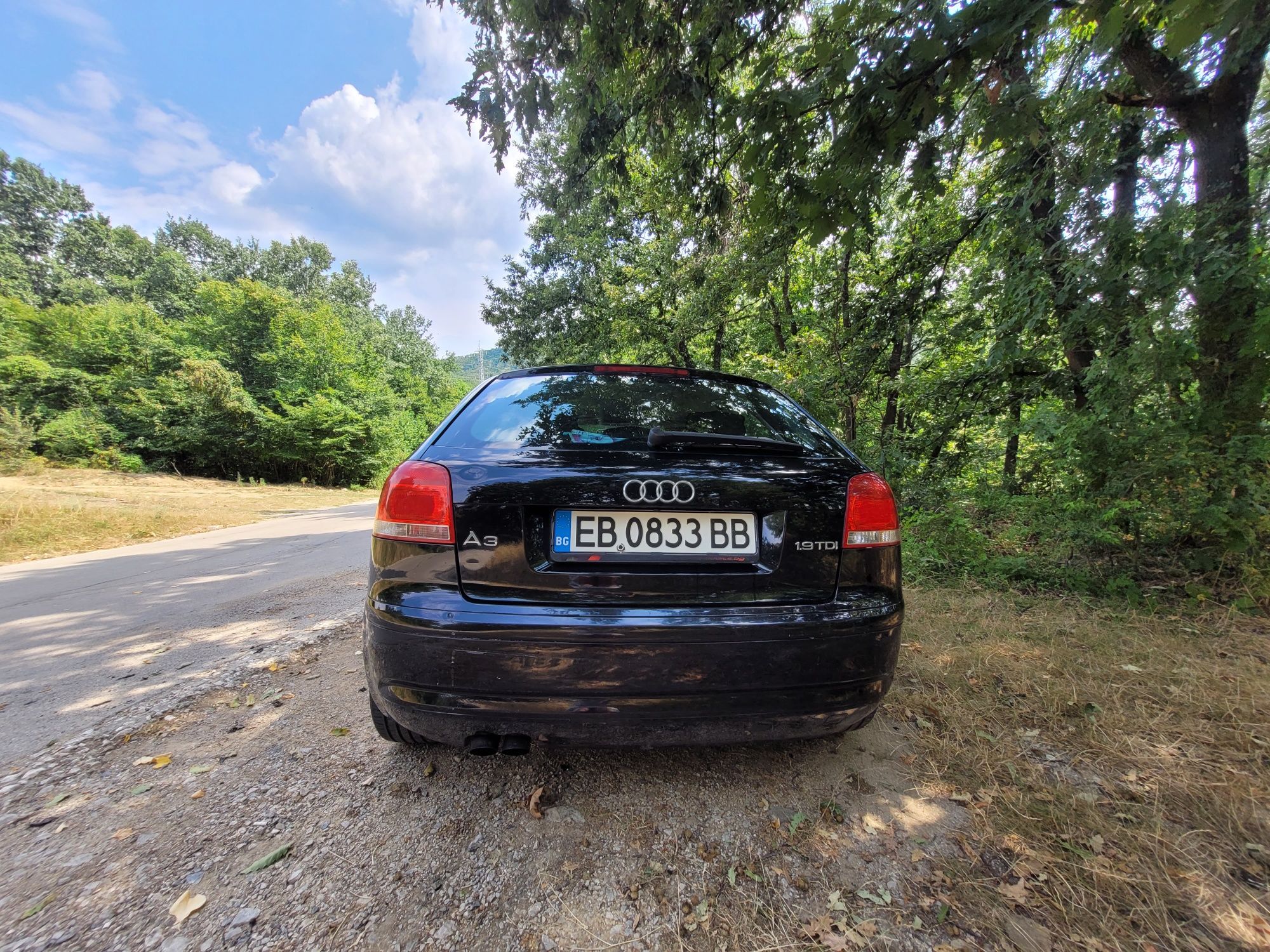 Audi A3 1.9 TDI дизел