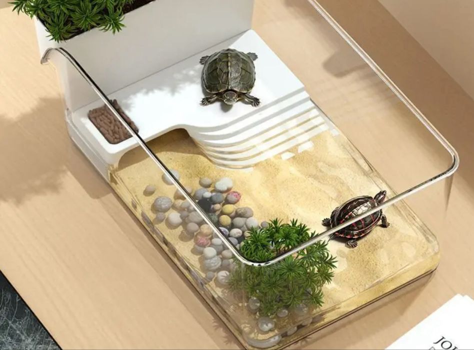 Черепаха трехкиловая