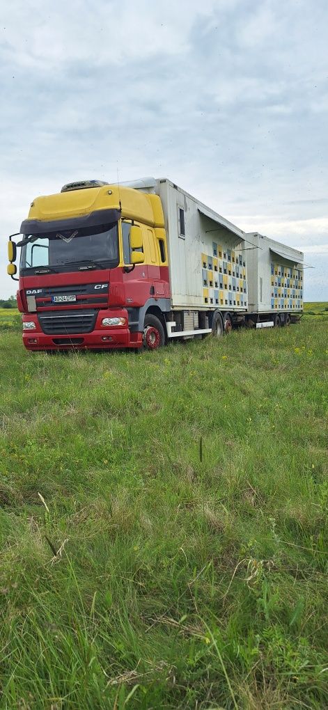 Camion, remorca apicole și familii albine