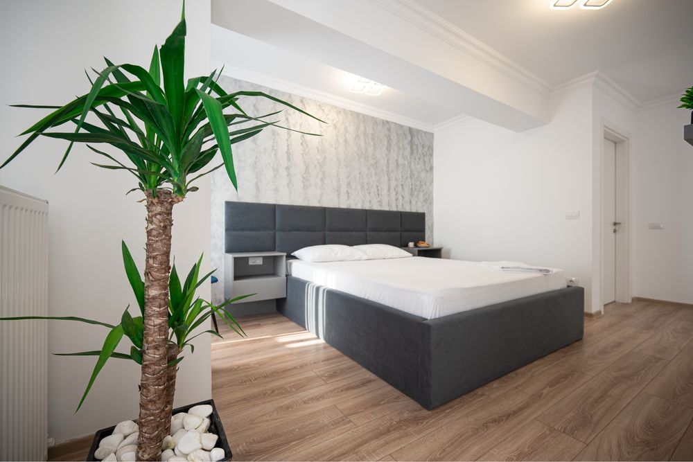 Studio, de inchiriat, Mamaia Butoaie, Solid residence