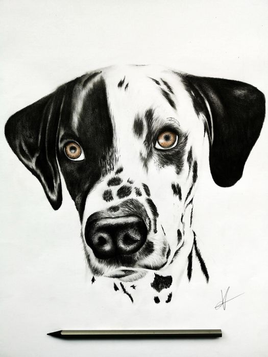 Portrete Profesionale