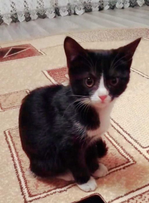 В самые ответственные руки