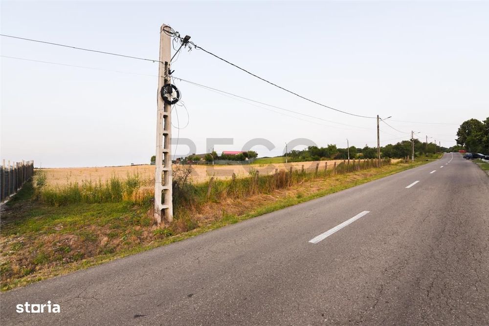 RECO Teren intravilan pentru casa  Lazareni