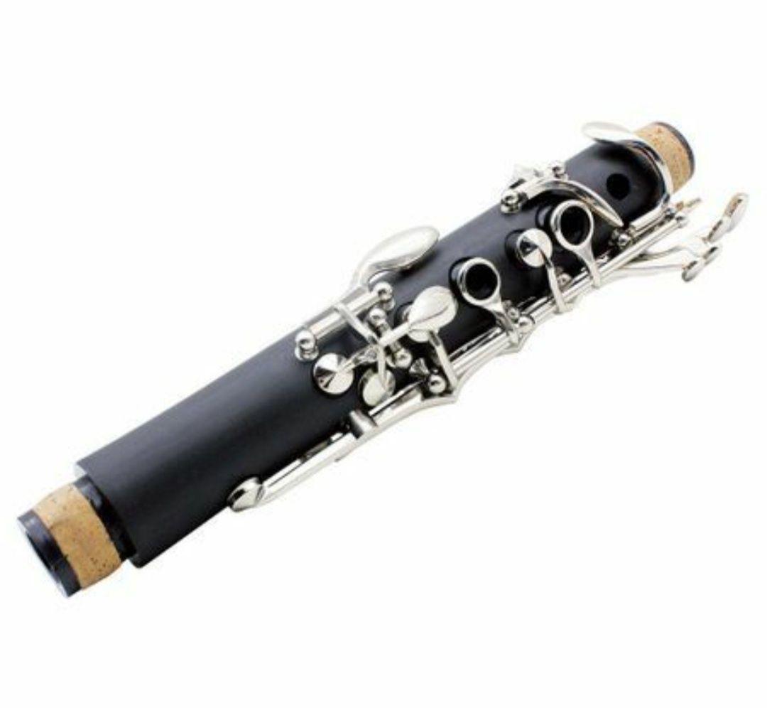 Clarinet Profesional Slade system 17 clape 6 inele nichelate cutie