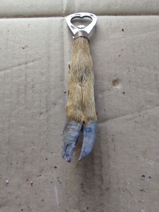 Стара отварачка с формата на крак