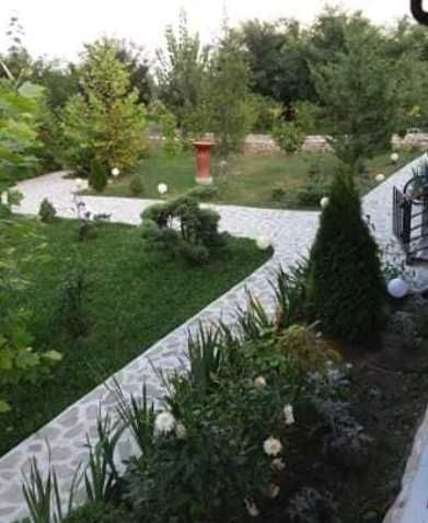 Gazon Rulou Sisteme de irigatii Tuia