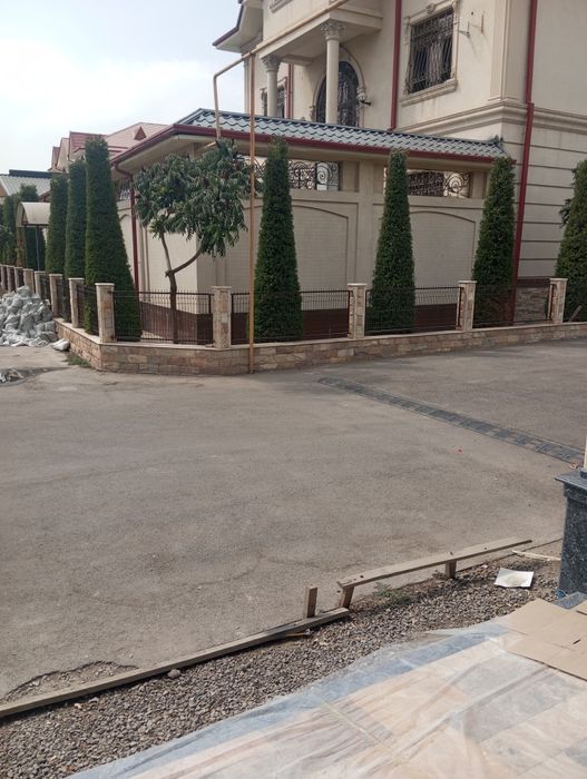 Bogʻbonchilik daraxtga ishlov berish