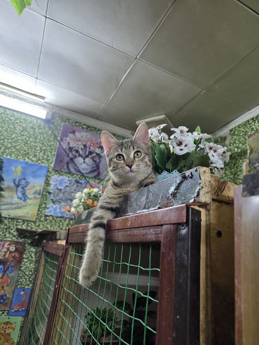 Васенька,3 месяца,в поисках хороших ручек!