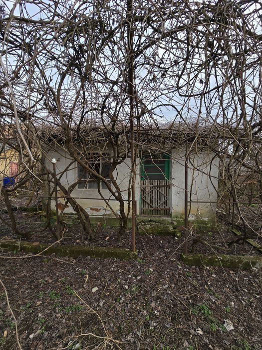 Teren de vânzare Intravilan, Olanu, 3200mp²