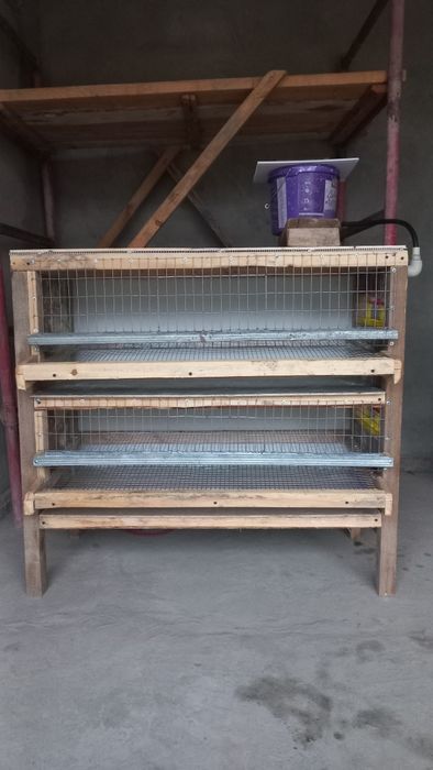 Күшік пен бөденеге ұйяшық