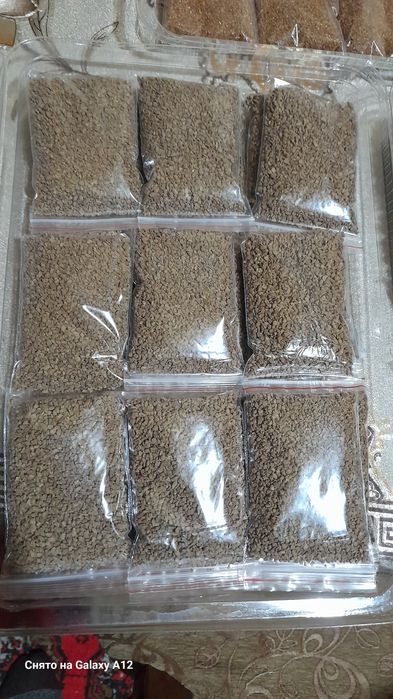 Аквариум боликлани кормаси.