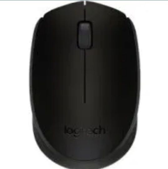 Mouse Logitech B170