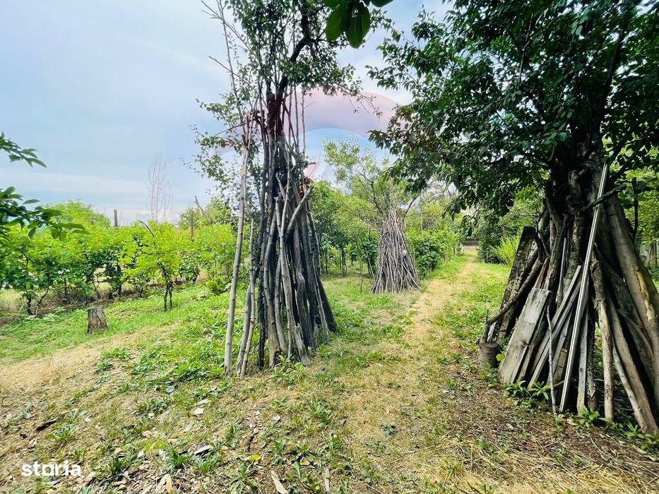 Teren 1,000mp Slatina / Prelungirea Tunari