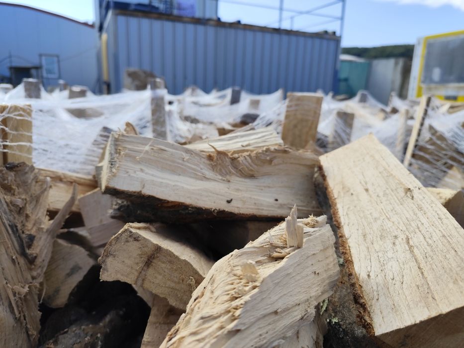 Lemne foc USCATE fag carpen frasin