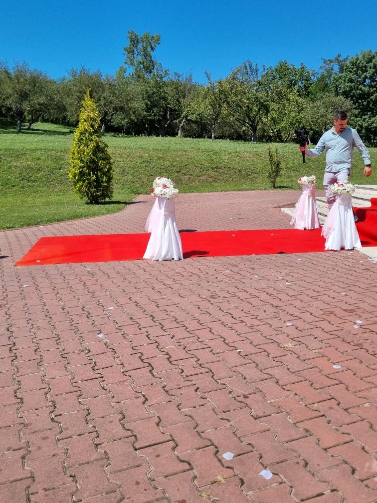 Porumbei albi ptr nunti