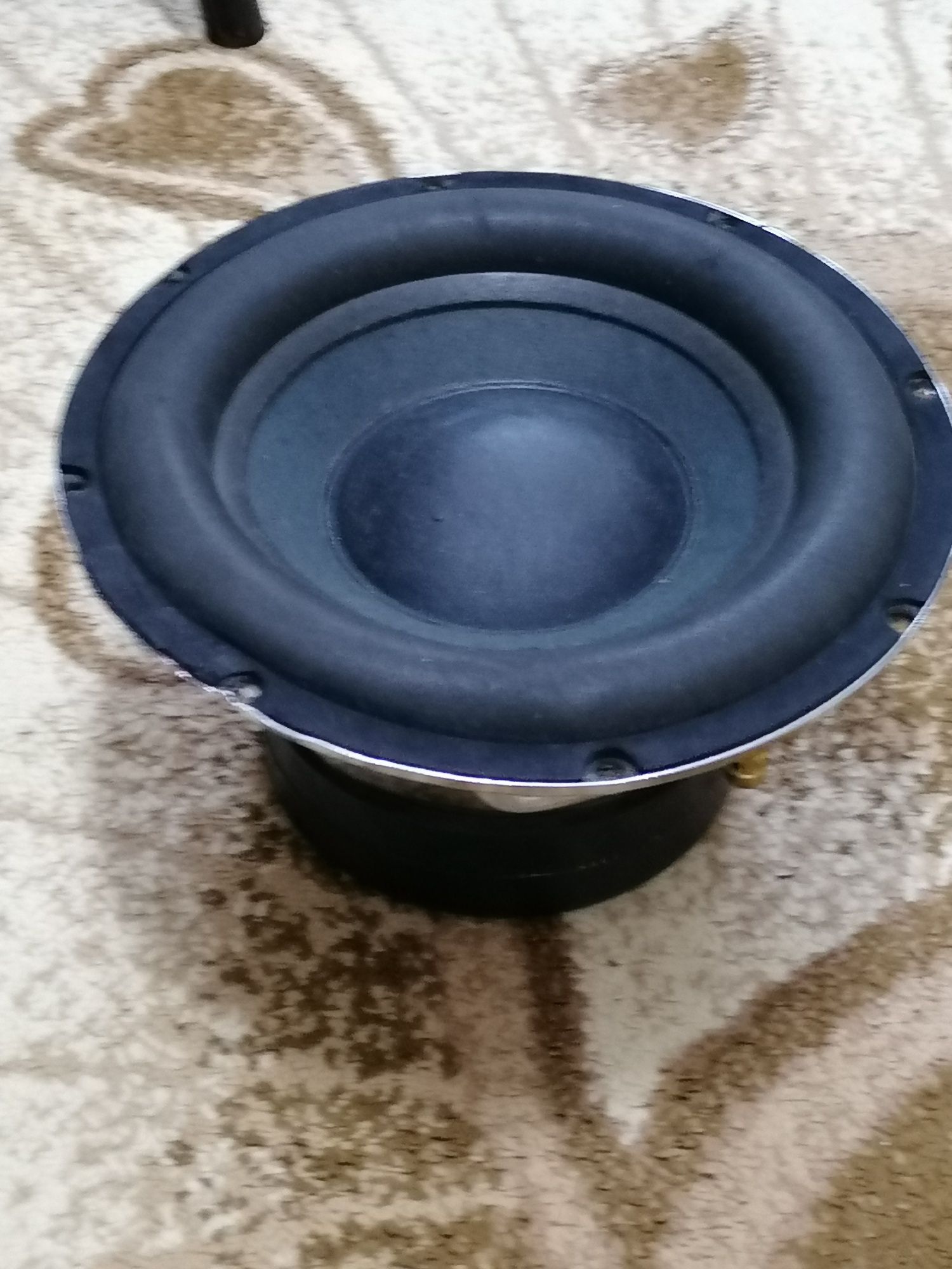 Subwoofer 10 inch