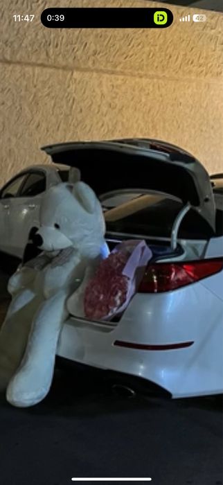 Большой медведь новый