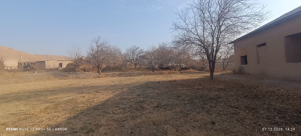 Navbaxor 29 sutiqlik xovli