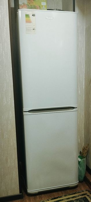 Халаделник берюса