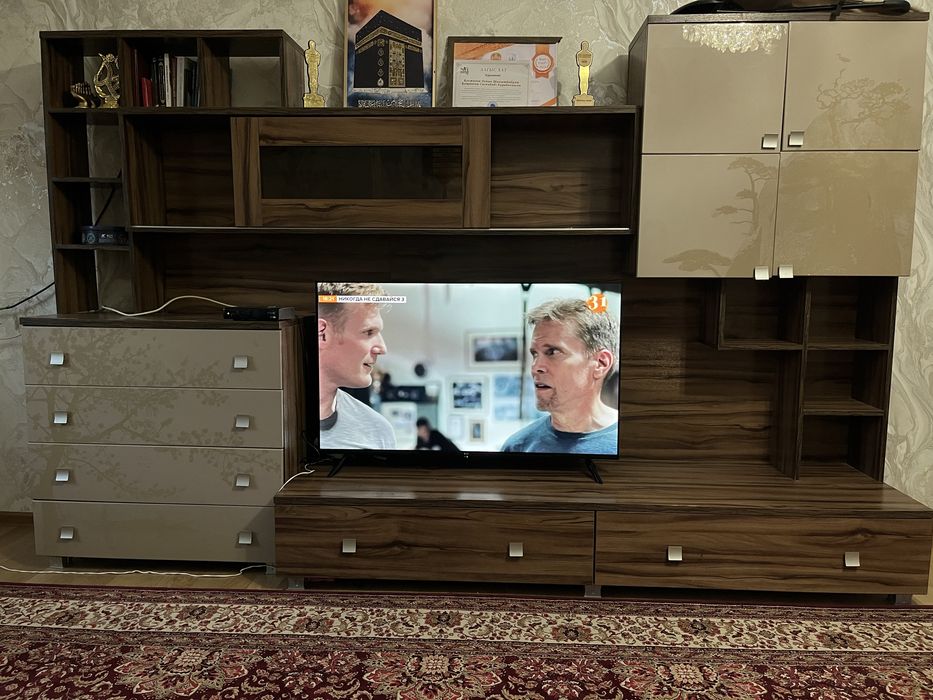 Телевизор қоюға, ыдыстар салып қоюға жақсы