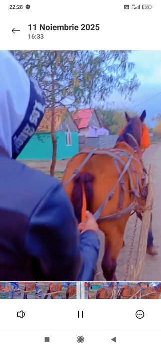 Vând sau schimb iapă de cinci ani jumate merge foarte bine la căruță