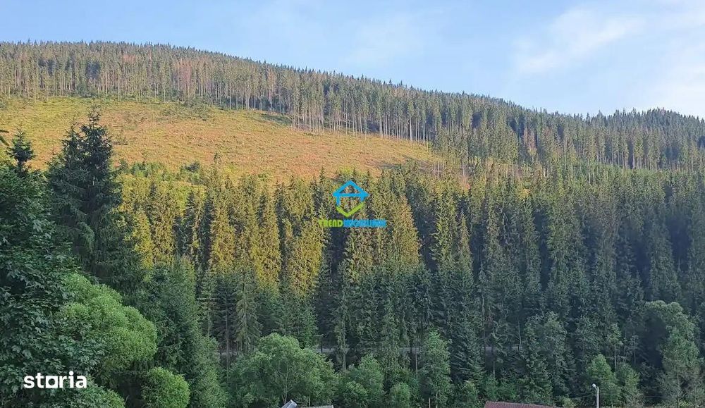 NOU - Teren extravilan la Poiana Horea - Belis - 16.000 mp