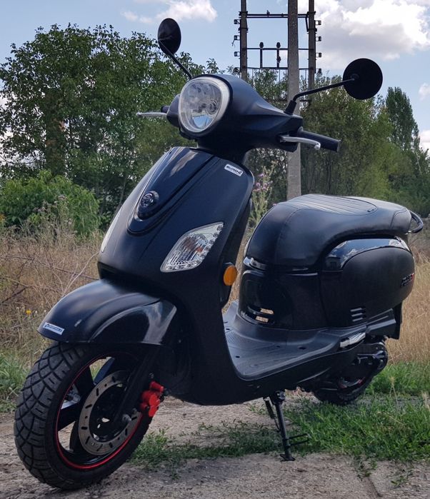 Sym fidele  50cm  3cp an 20