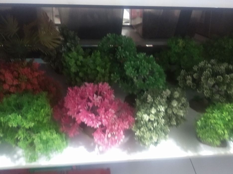 . Аквариум разные