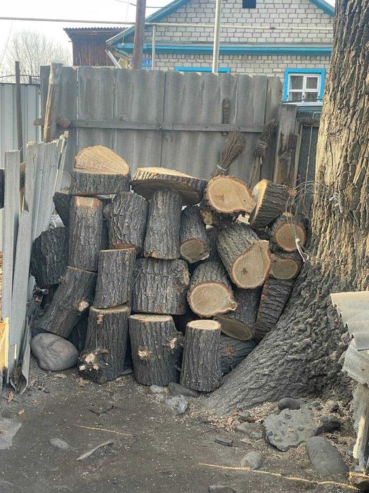 дрова дубовые сухие