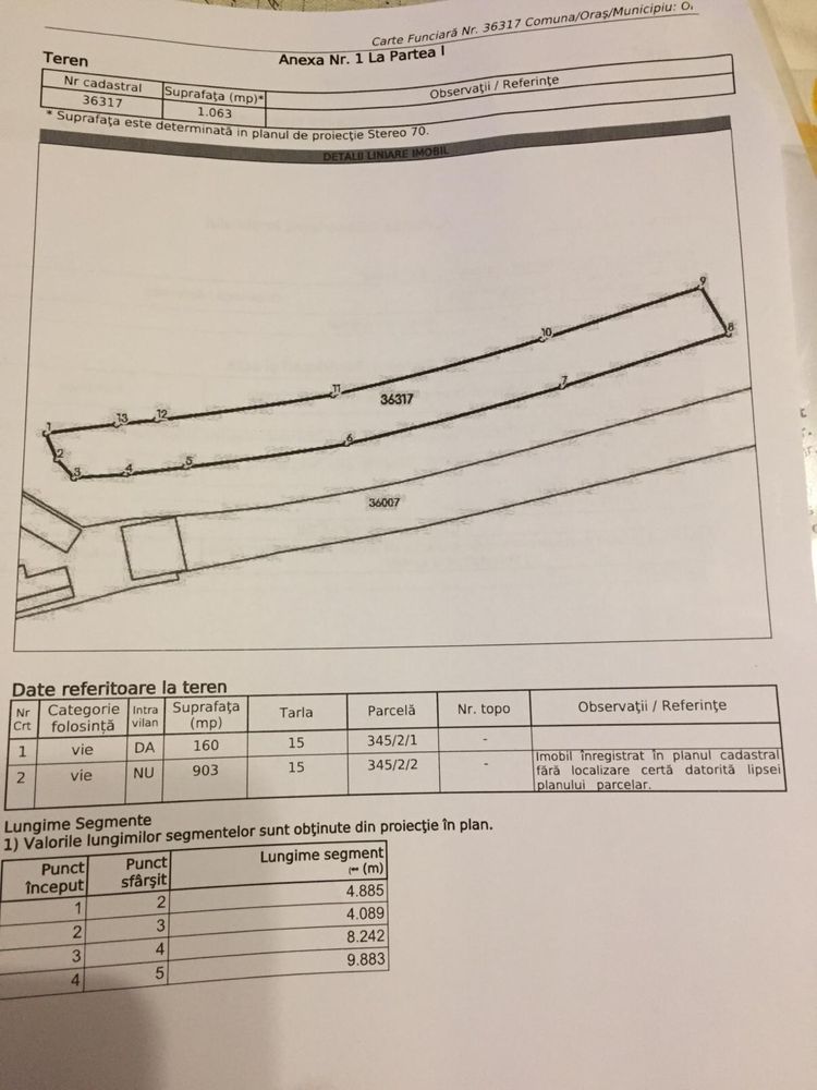 Casa si curte 400mp + Vie 1063mp