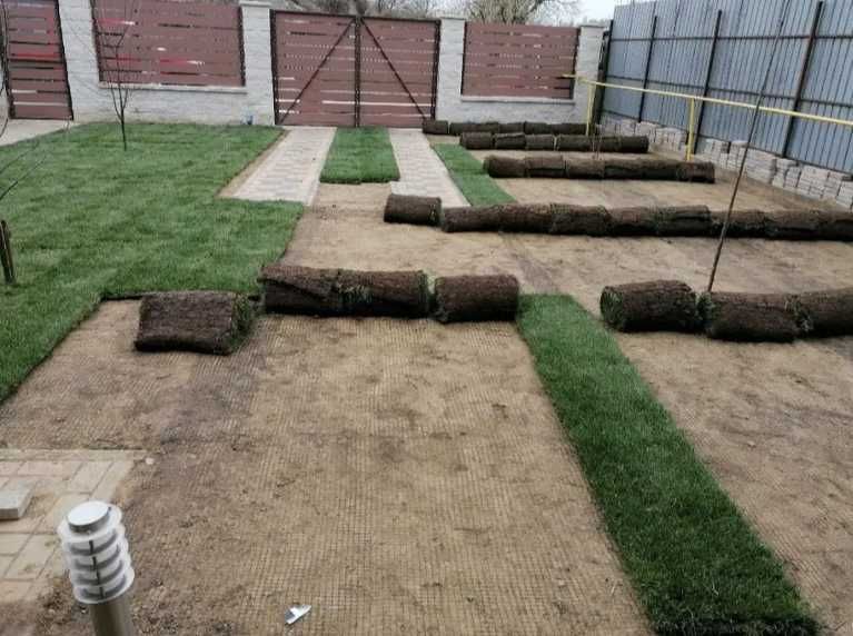 Gazon Rulou Calitate extra