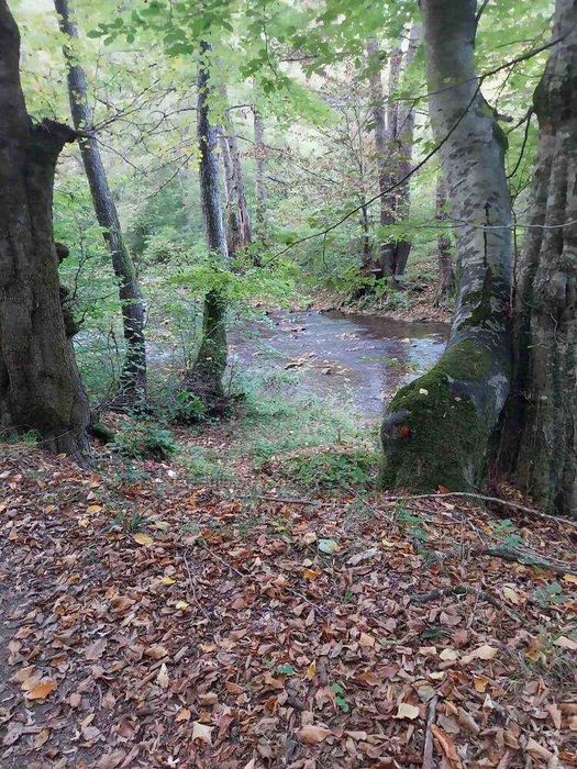 Продава се Парцел в Малко Търново - 6 кв.м за 5100 €/кв.м - Снимка #5