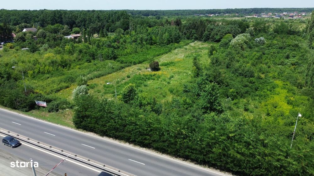 Teren de vanzare 8000 mp Calea Lugojului Timisoara!