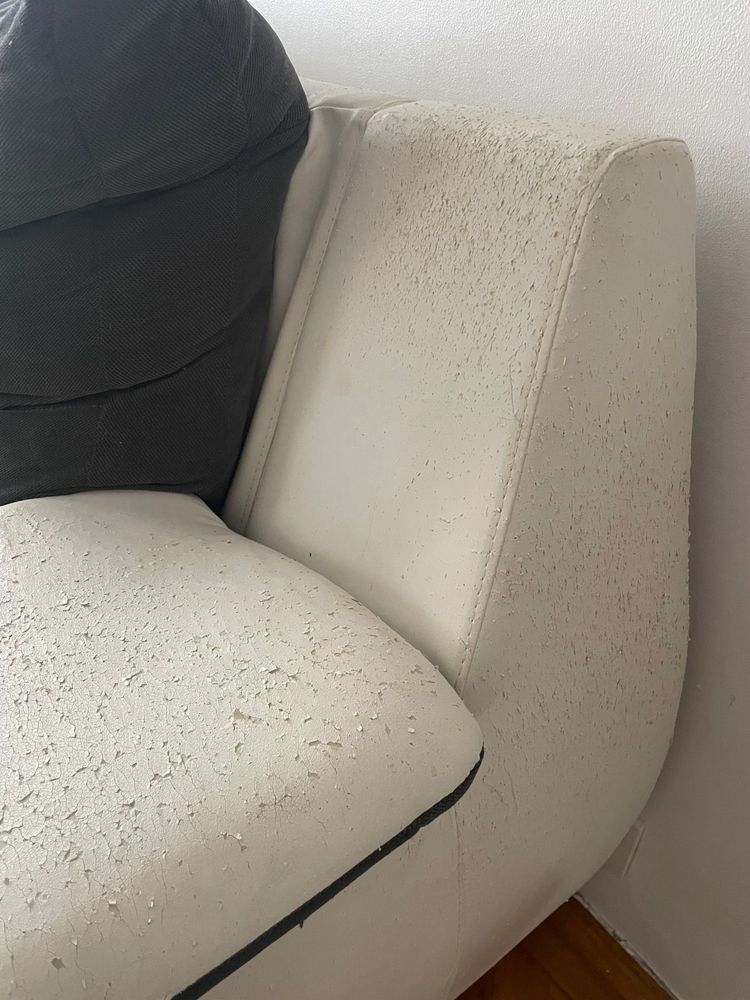 Canapea extensibila mare