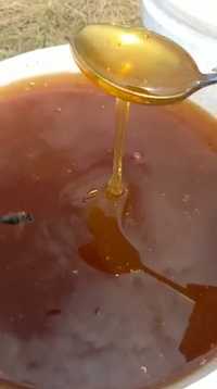 Майский свежий мед из ВКО