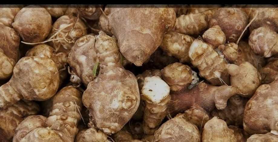 Продается Топинамбур.