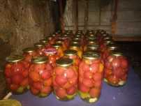 Маринованные помидоры и огурцы, бочковые, грибы, свежий засол,