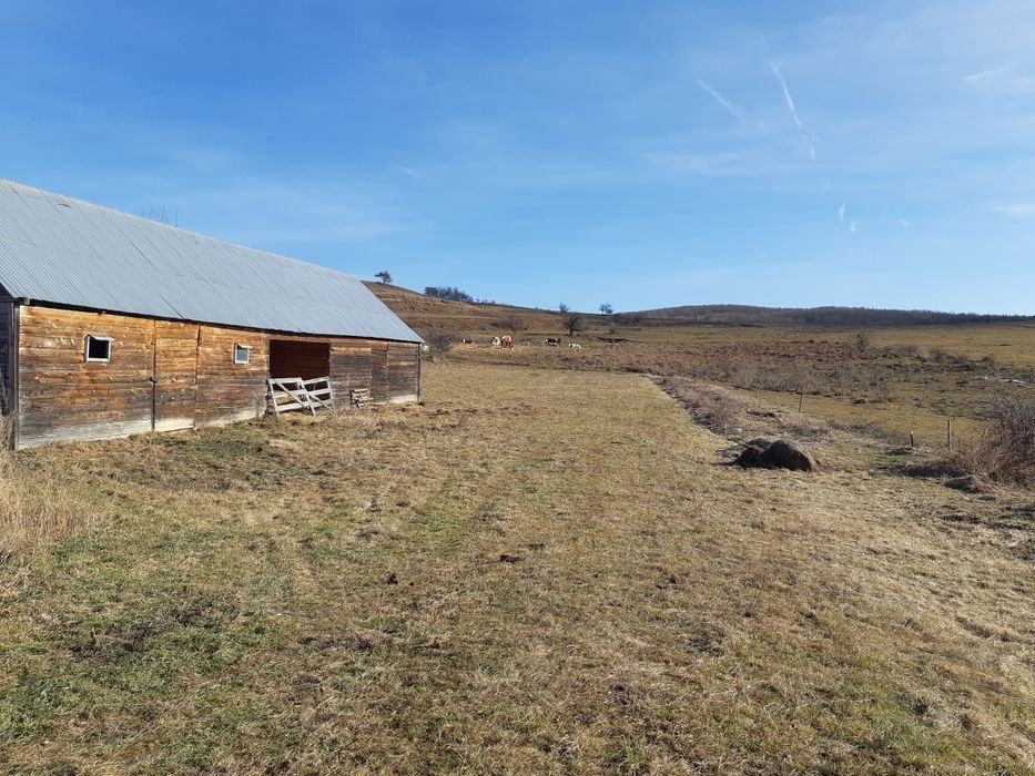 Teren extravilan