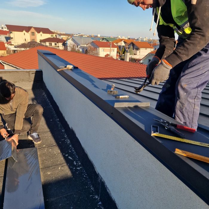 Echipa dulgheri și tinichigii executam acoperișuri și reparații .