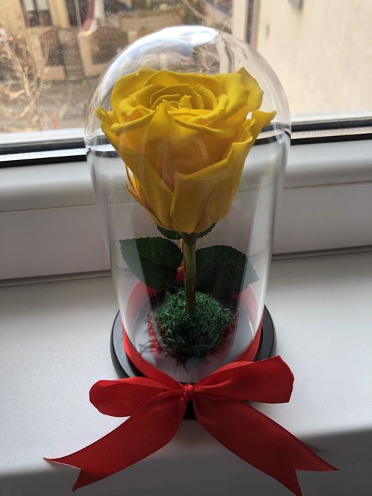 Trandafir galben criogenat conservat in cupola cristalina