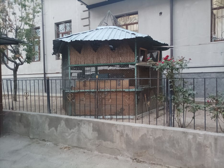 Metal Qush xona. 3x3