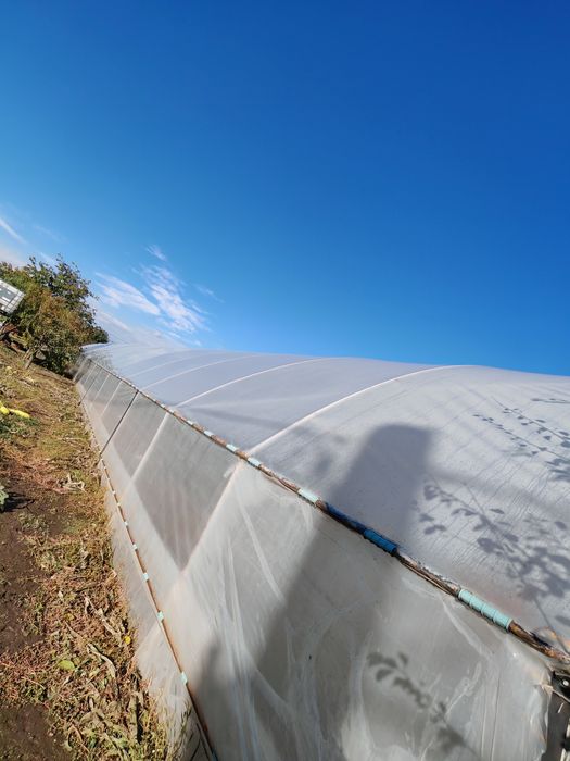 De vânzare solar 10 metri lățime 40 lungime  preț  negociabil