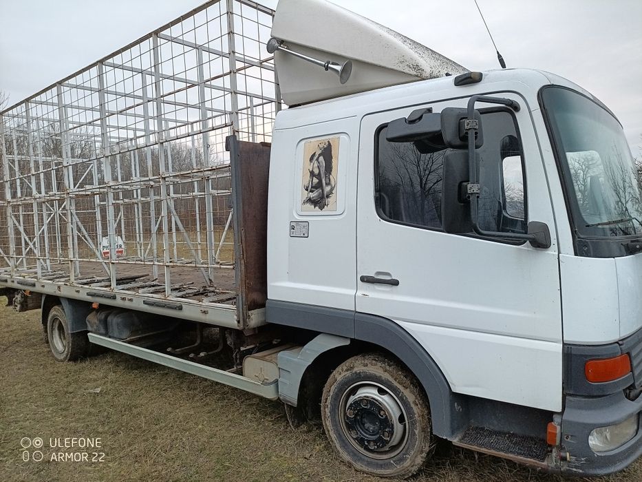 Camion apicol Mercedes Atego