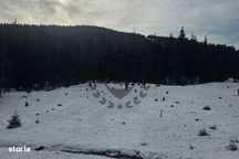 Teren in suprafata de 7.000 mp. in Arieseni, langa partia de ski.