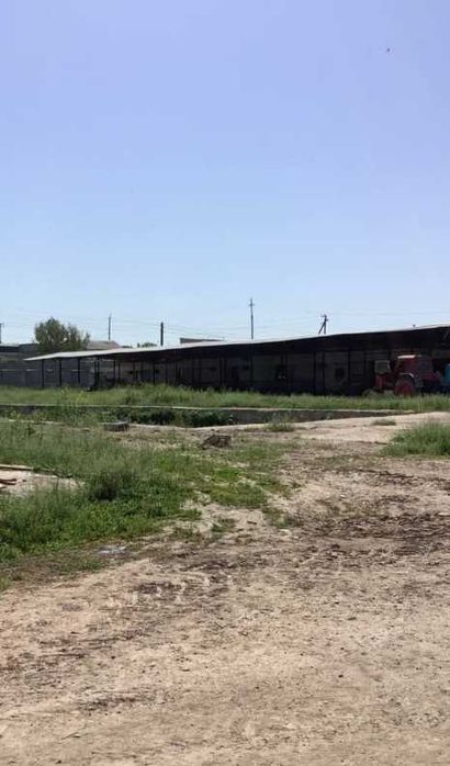 Продаётся база 6,6 гектар по трассе М 39 Зангиата для строительства
