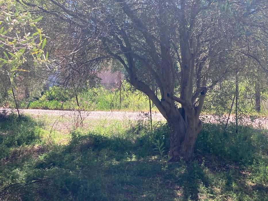 Дава се под наем Парцел в София, Зона Б-19 - 560 кв.м за 1500 € - Снимка #2