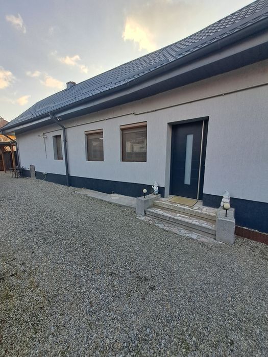 Casa de vânzare +Cabana noua